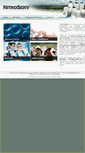 Mobile Screenshot of nitroserv.com.br
